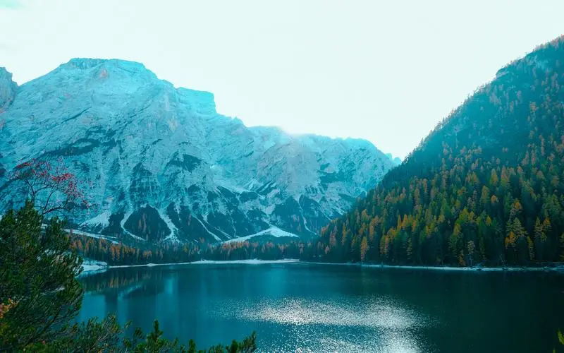 高效智慧